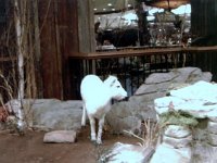 photos 2000-200901491